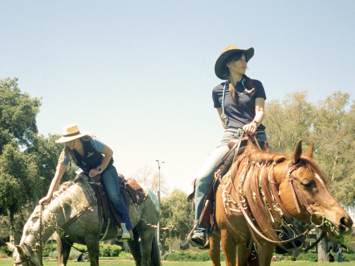 UC Davis: Picnic Day